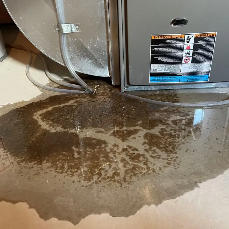 Pipe Burst and Leak Restoration in Chinook, MT