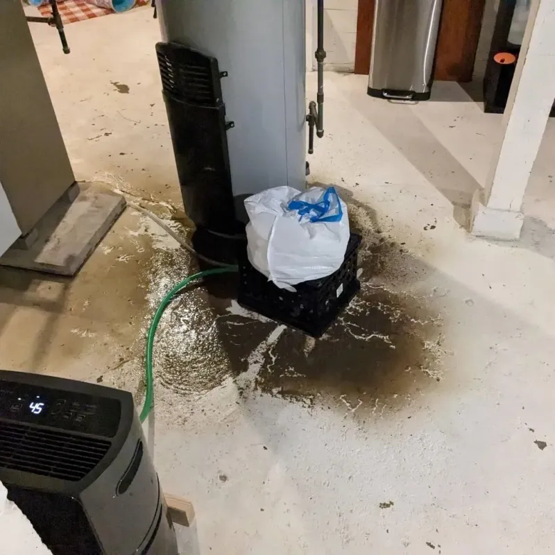 Sewage Backup Cleanup Service in Chinook, MT